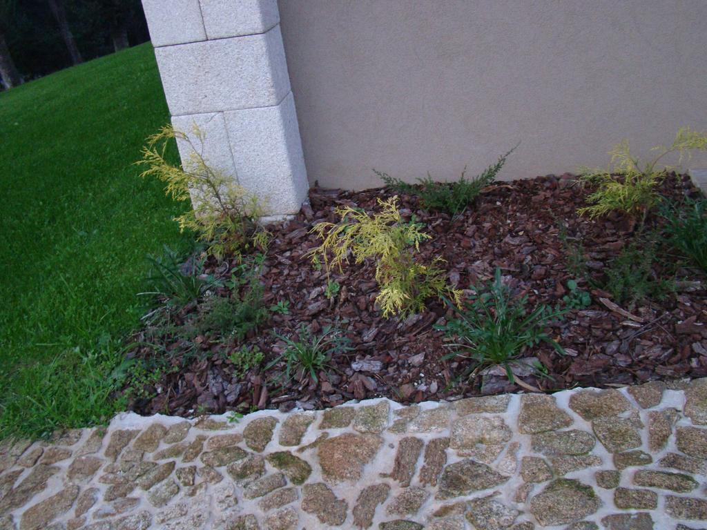 Bosque Da Harmonia Guest House Arco de Baulhe Exterior photo