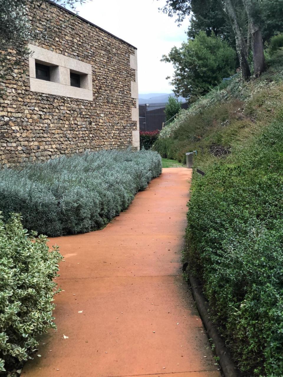 Bosque Da Harmonia Guest House Arco de Baulhe Exterior photo