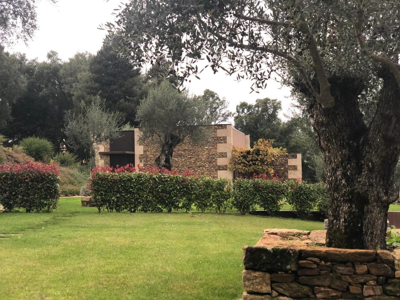 Bosque Da Harmonia Guest House Arco de Baulhe Exterior photo