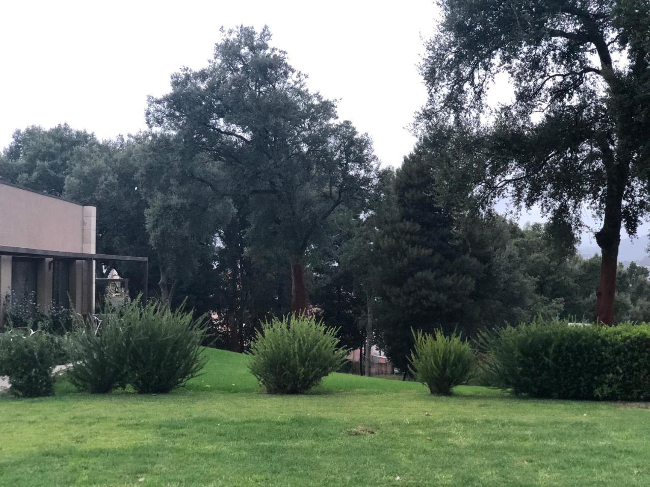 Bosque Da Harmonia Guest House Arco de Baulhe Exterior photo